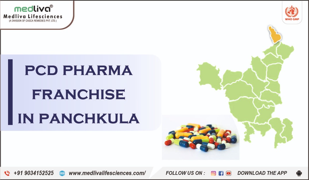 PCD Pharma Franchise